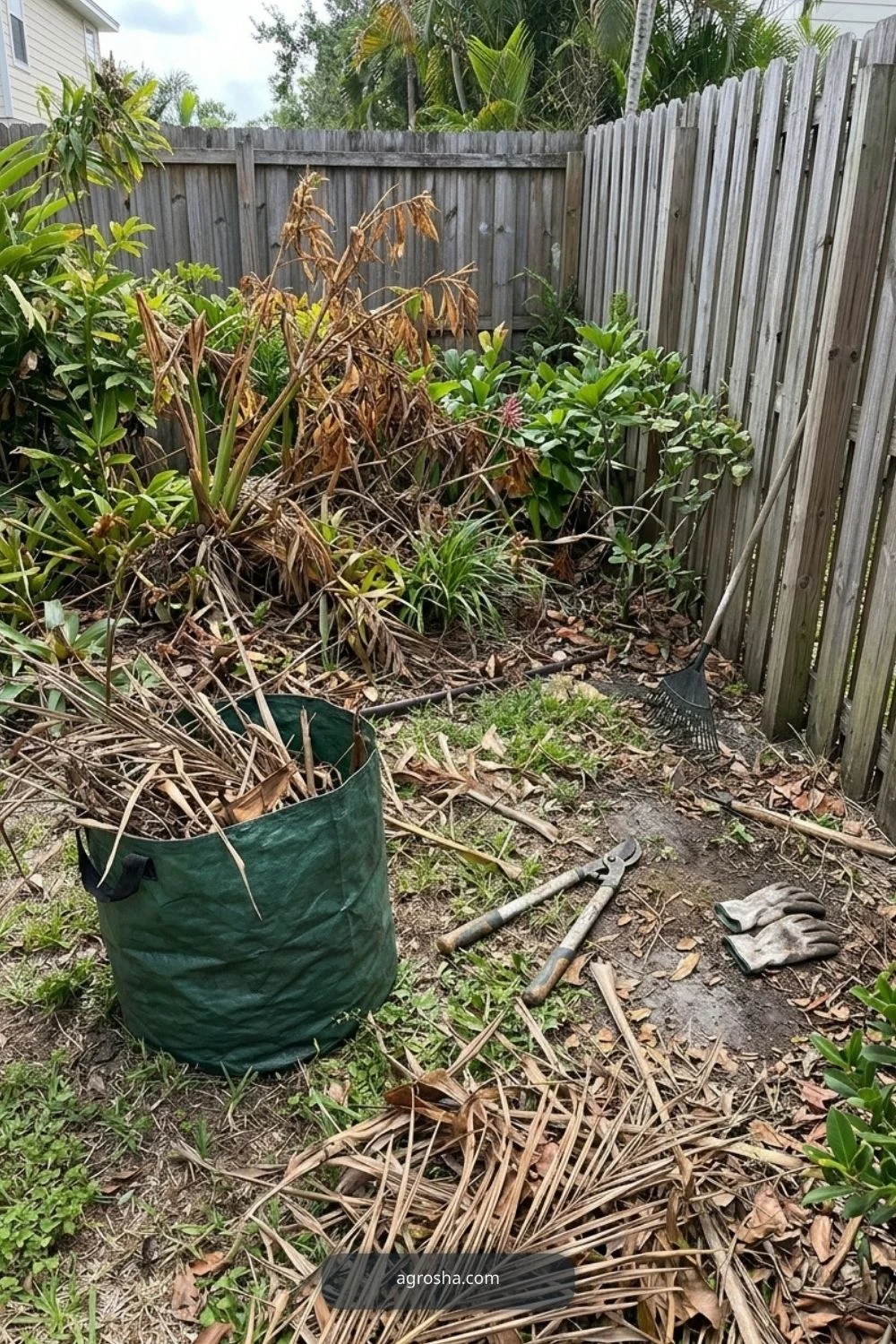 Florida backyard upgrade example showing remove dead, hazardous, or constantly failing plants