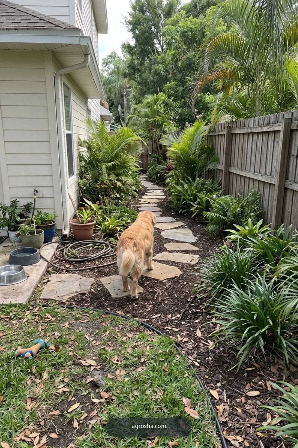 Florida backyard upgrade example showing create a dog-friendly route or zone