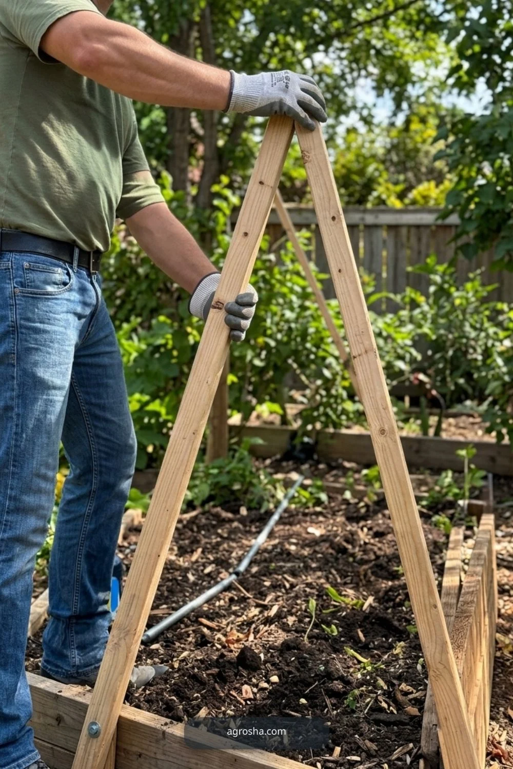 Size the A-frame for reach and stability for DIY cucumber A-frame trellis