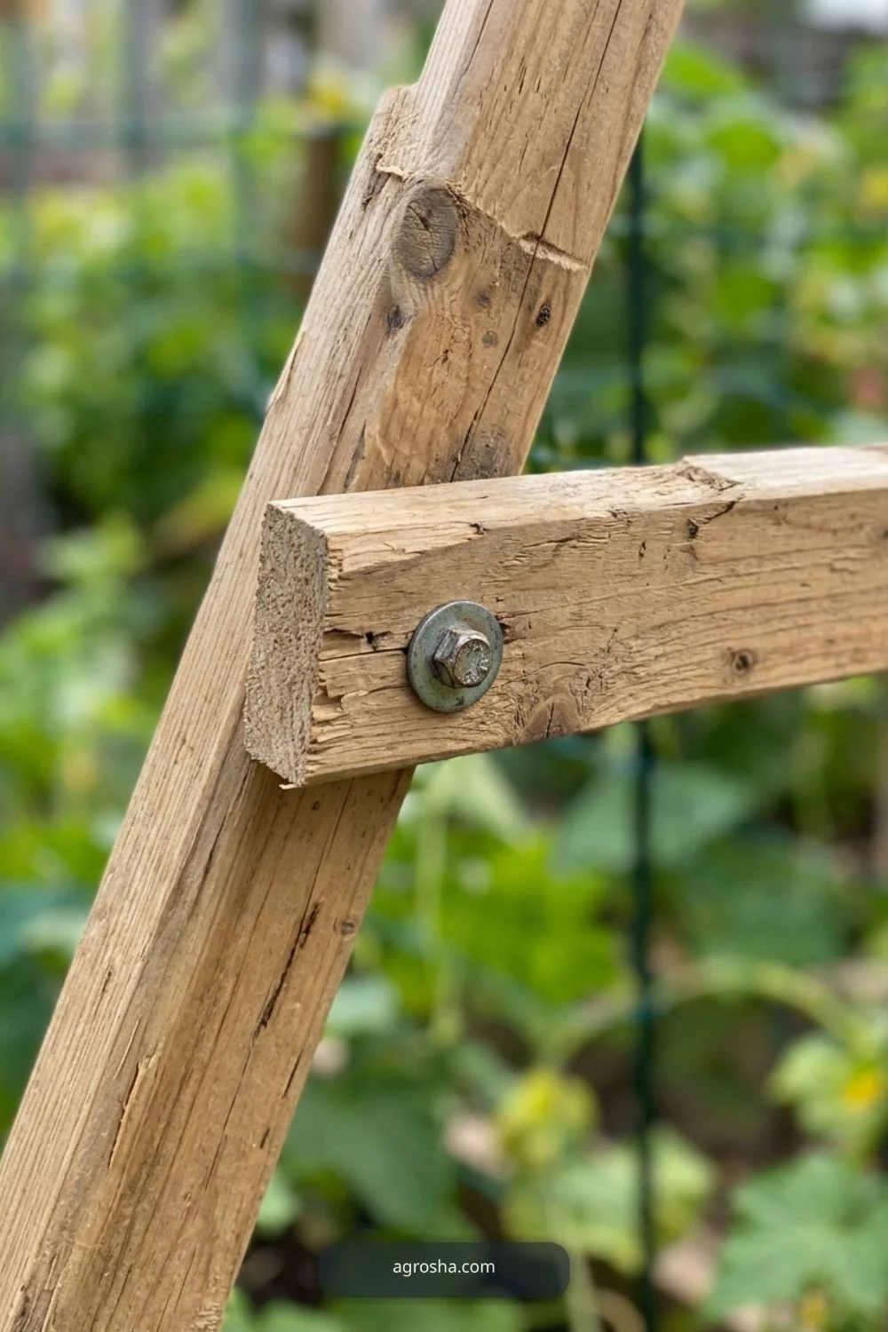 Assemble the first pair of legs for DIY cucumber A-frame trellis