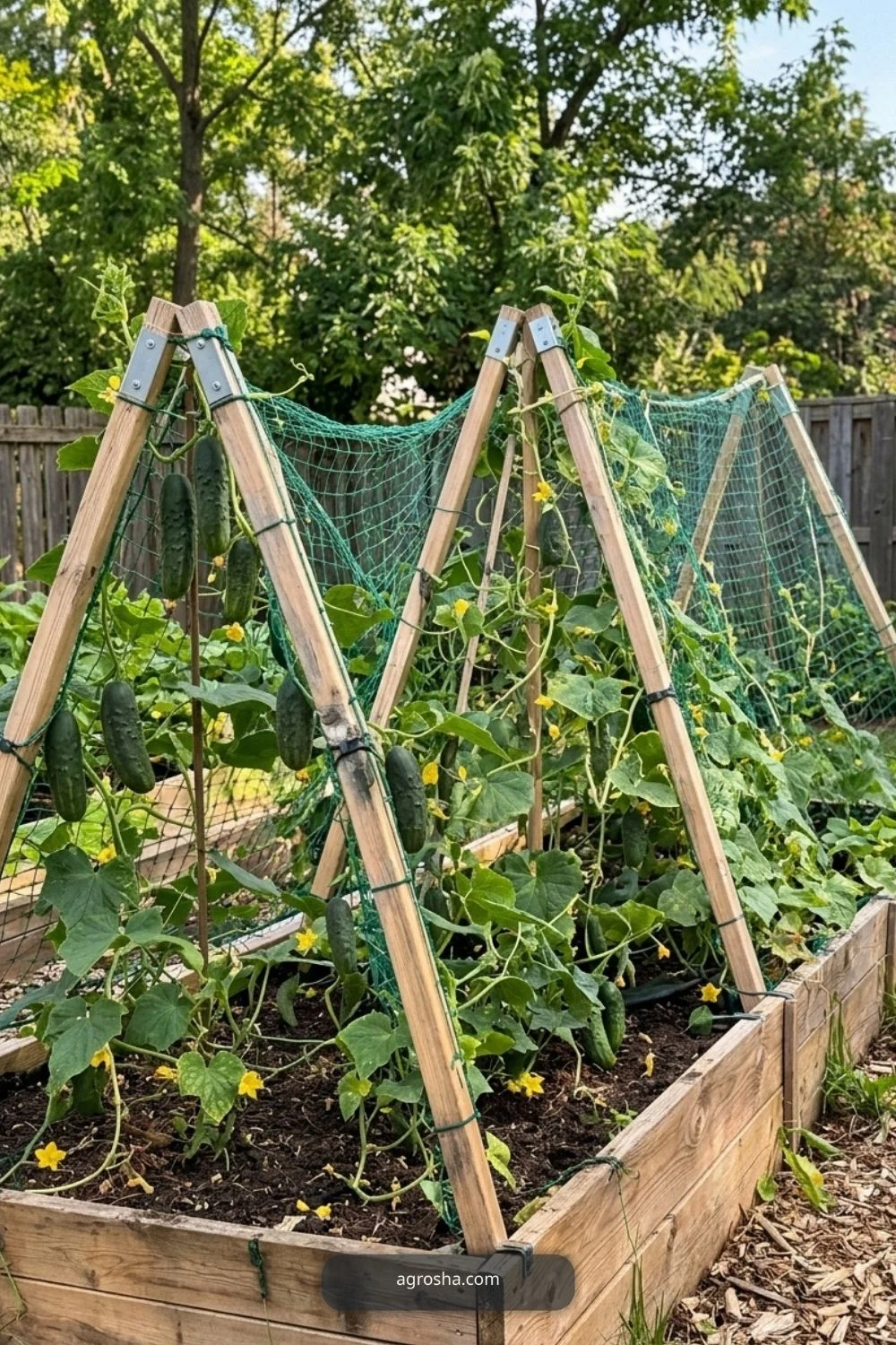 Practical Mistakes to Avoid for DIY cucumber A-frame trellis