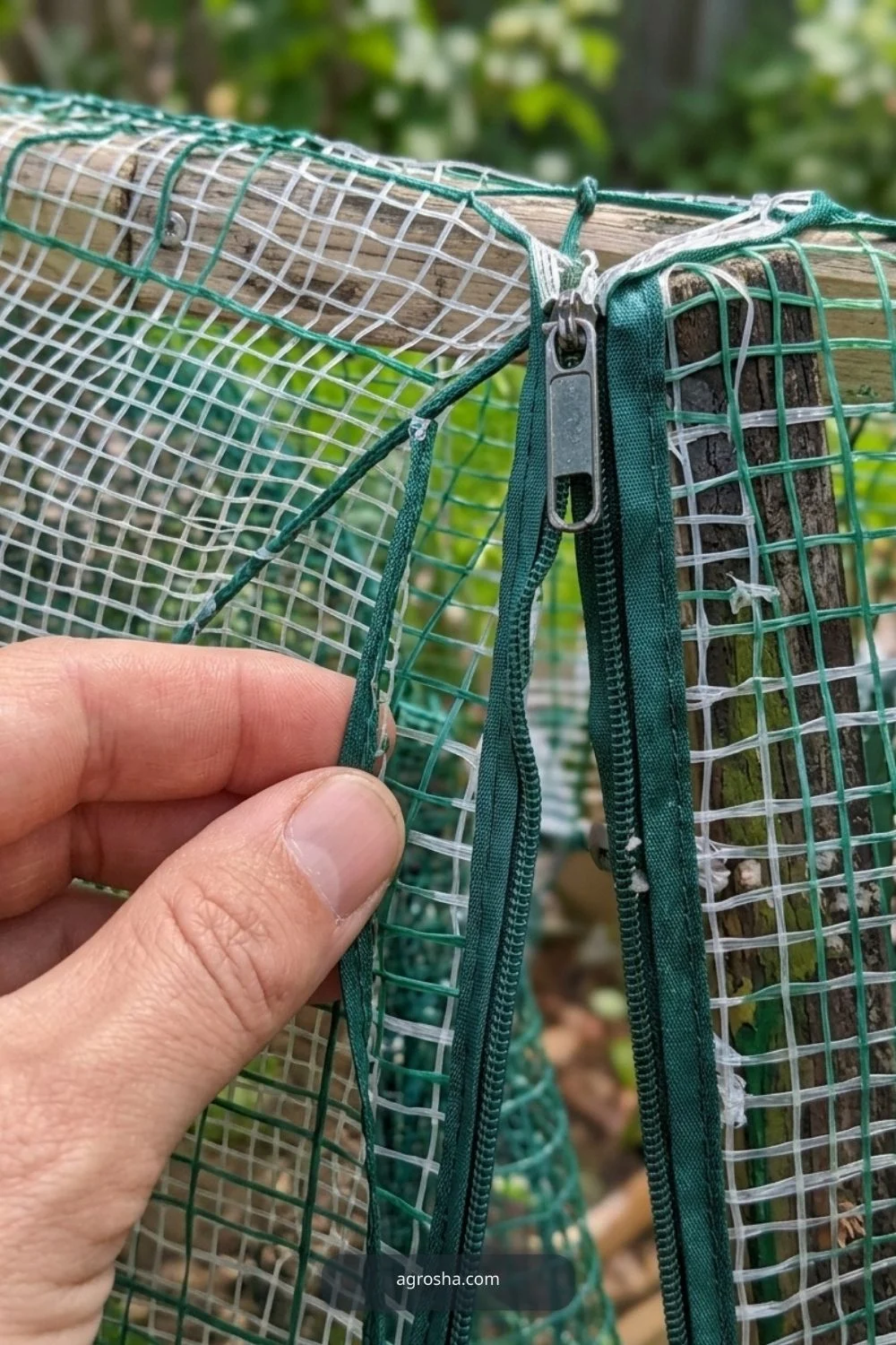 Crop-safe mesh opening for DIY cucumber A-frame trellis