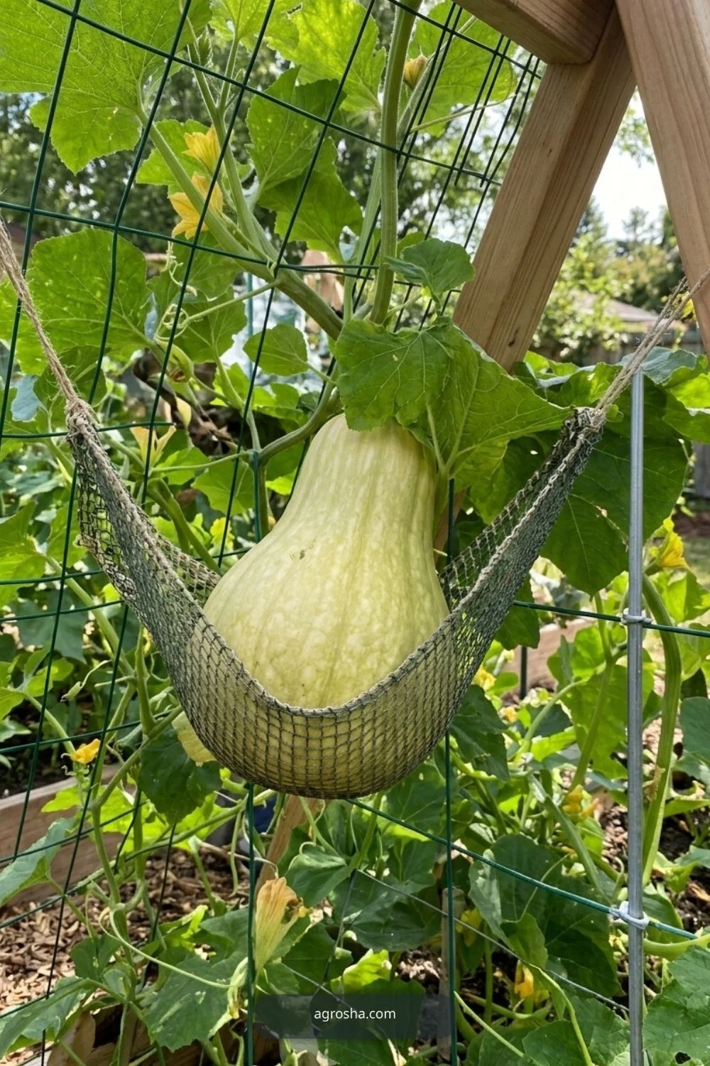 Diagonal bracing for DIY cucumber A-frame trellis