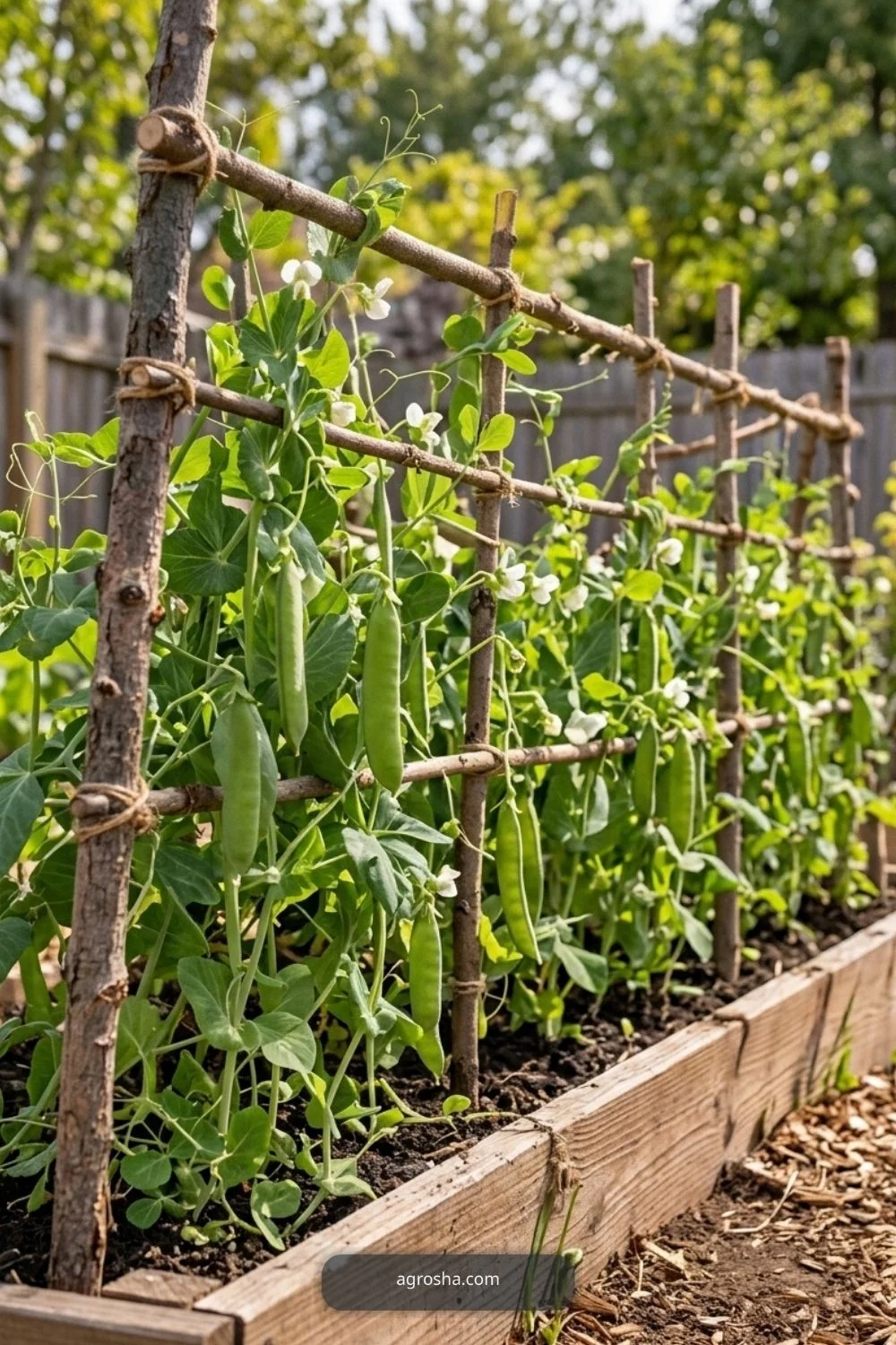 Practical Mistakes to Avoid for DIY pea trellis from branches