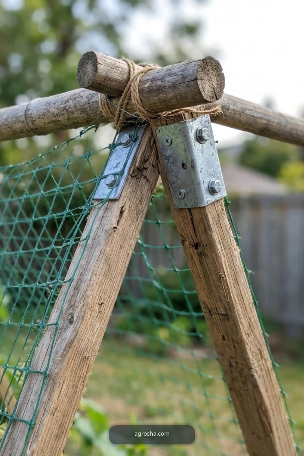 Store sound branches for DIY pea trellis from branches