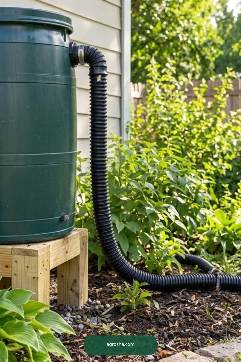 Installed dark green rain barrel on wooden stand with black corrugated overflow hose leading to planting bed