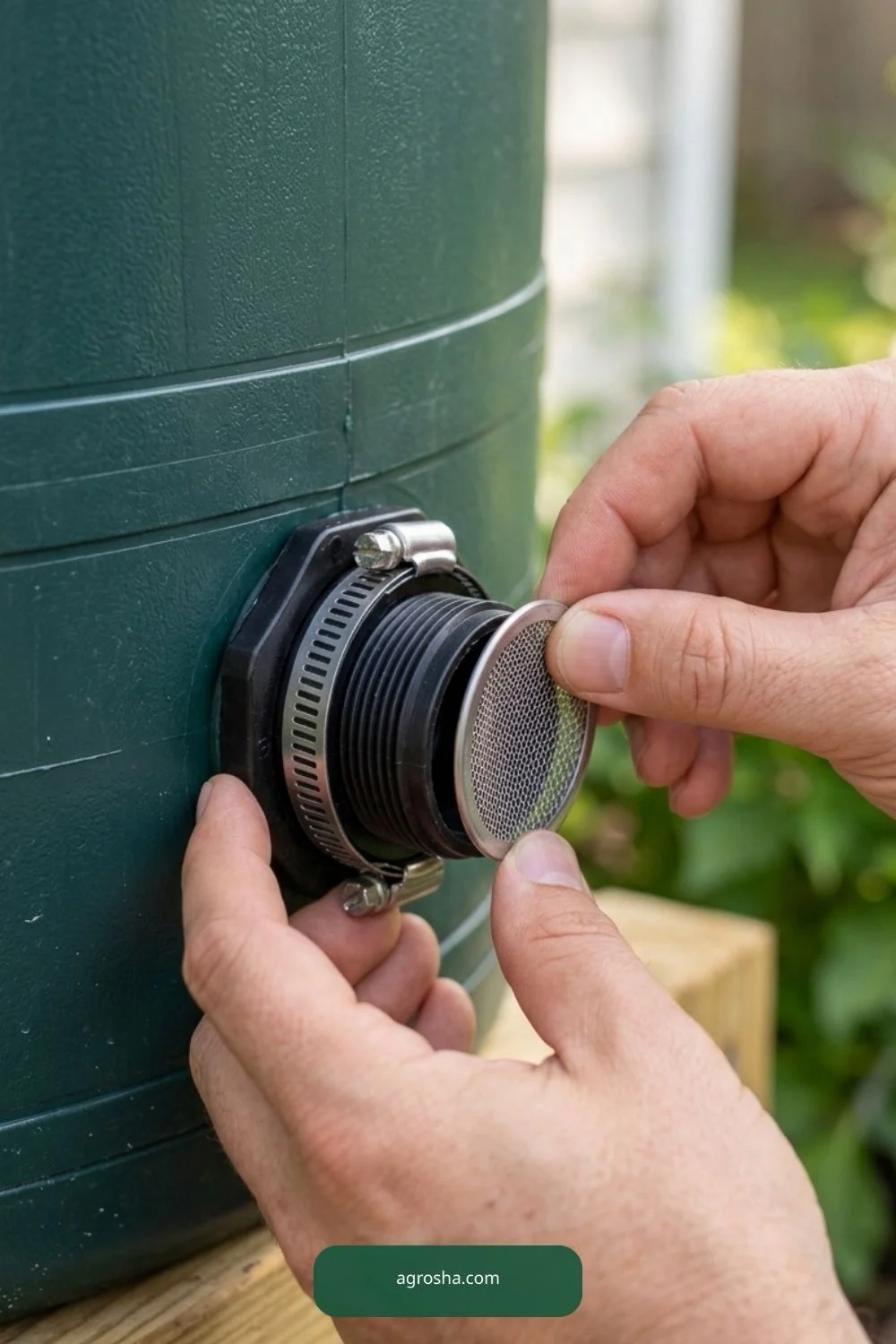 Hands fastening insect mesh with a metal hose clamp around barrel overflow fitting