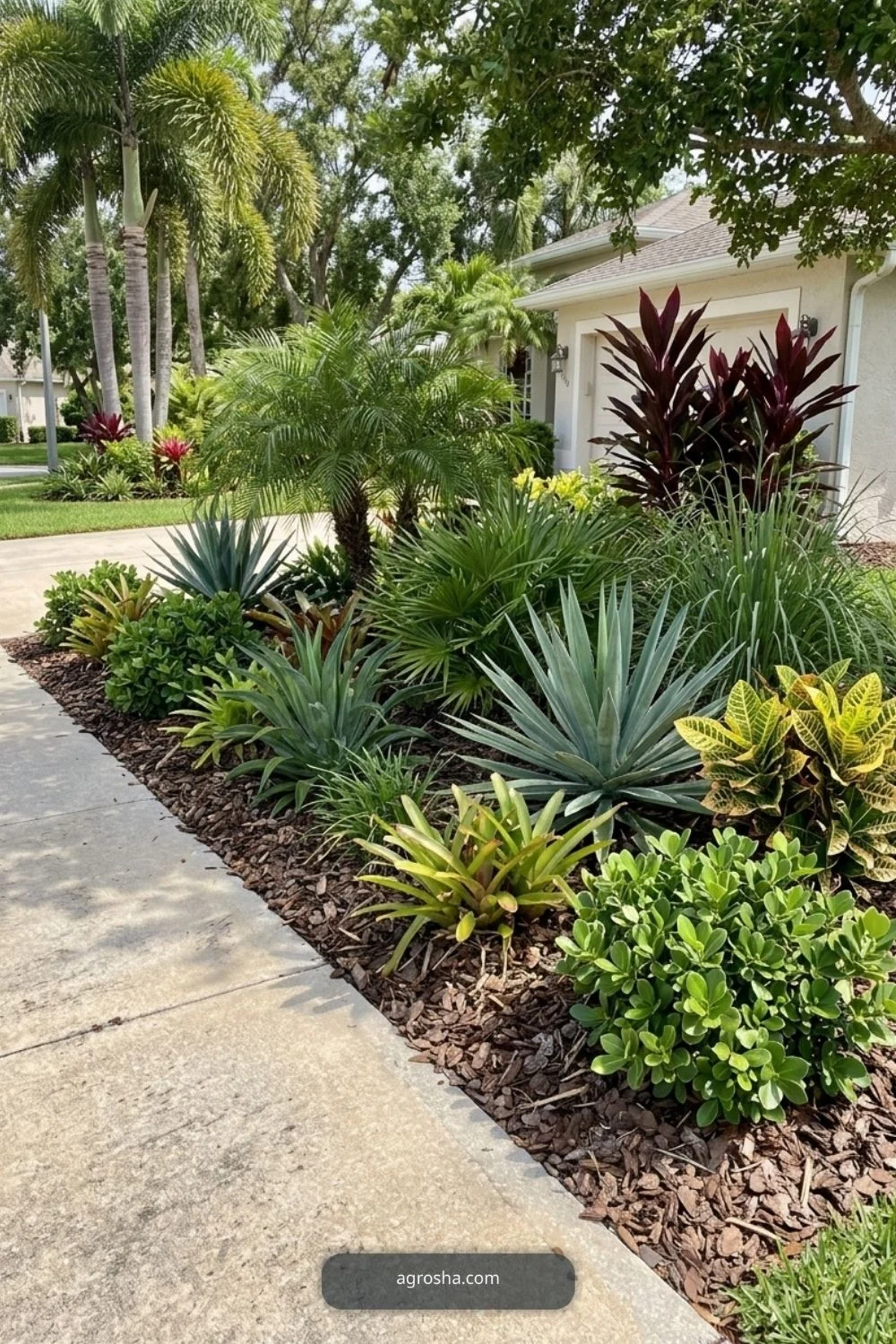Florida driveway border showing heat-tolerant planting beside concrete