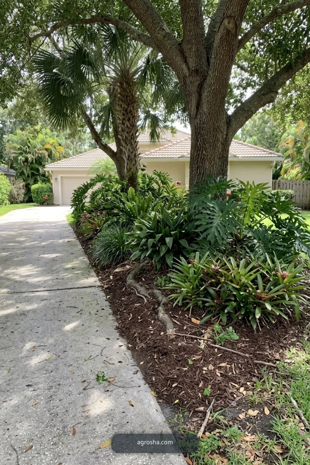Florida driveway border showing shade-tolerant border under mature trees