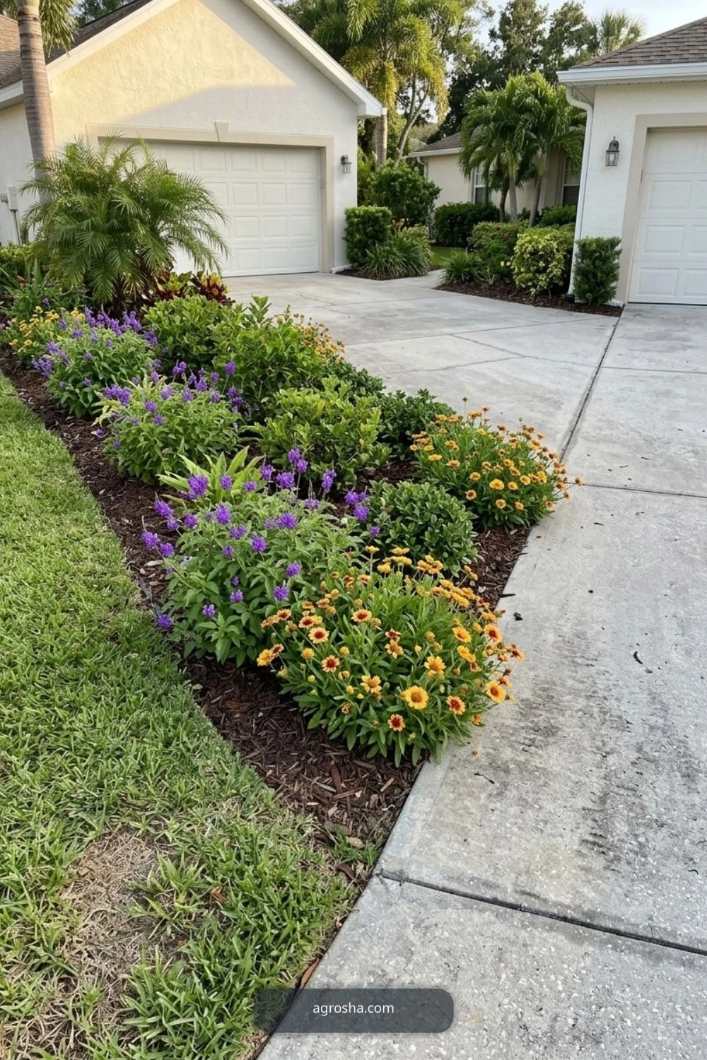 Florida driveway border showing native flowering accent groups