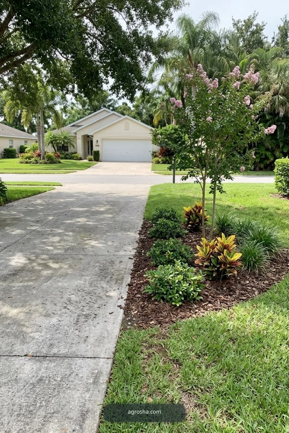 Florida driveway border showing one small ornamental tree set back from the road