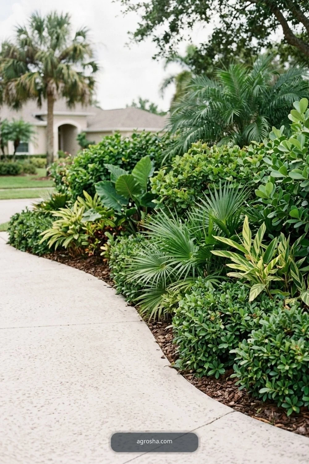 Florida driveway border showing narrow side strip with upright plants