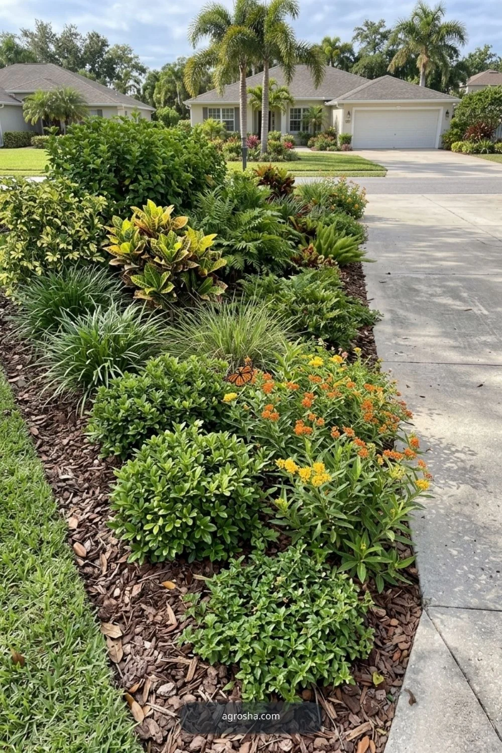 Florida driveway border showing foliage-first driveway border
