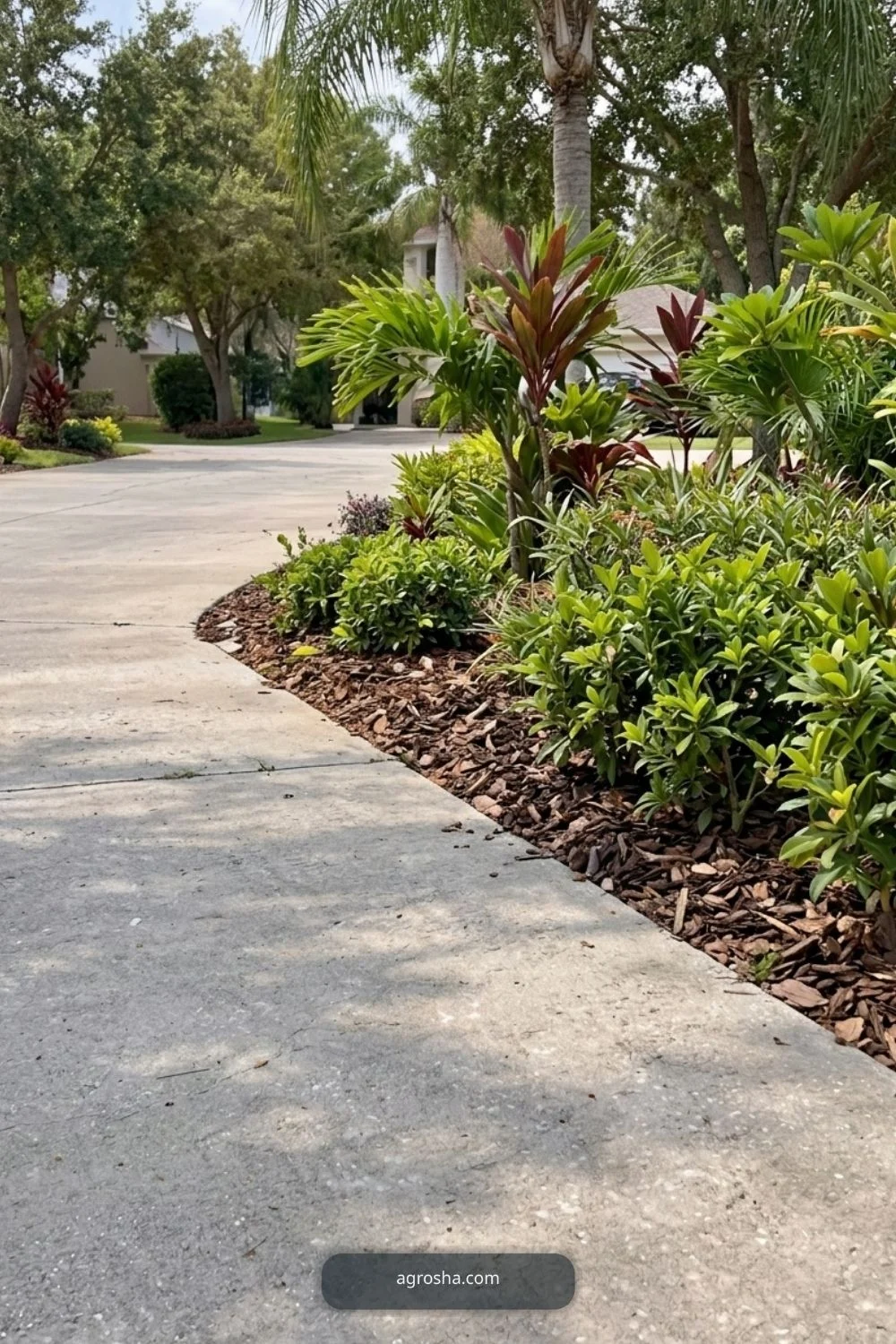Florida driveway border showing repeat the front-yard plant palette