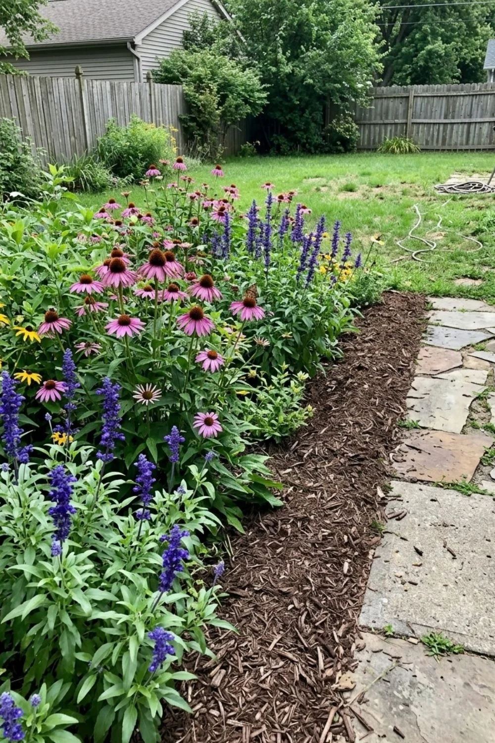 Pollinator-Friendly Flower Edge defining a flower bed in a suburban backyard