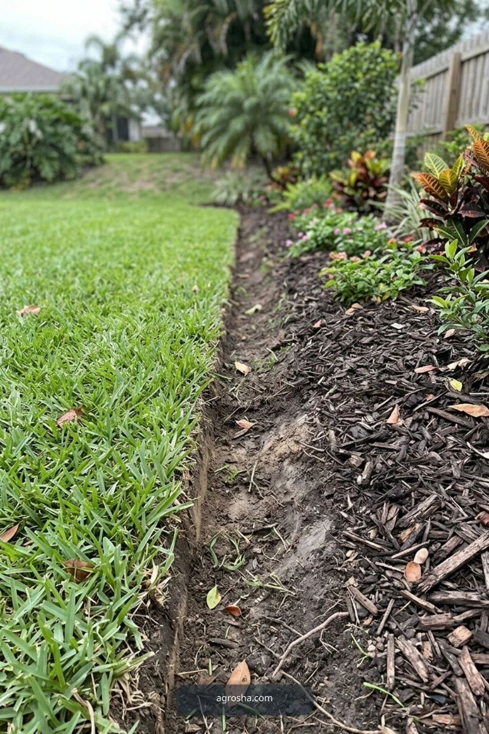 Florida landscape edging example showing spade-cut natural lawn edge