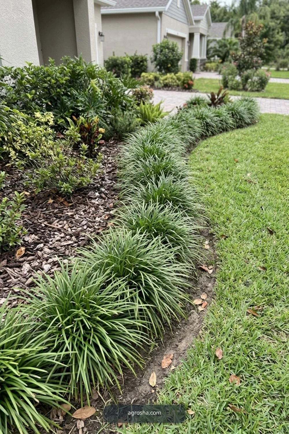 Florida landscape edging example showing clumping grass border