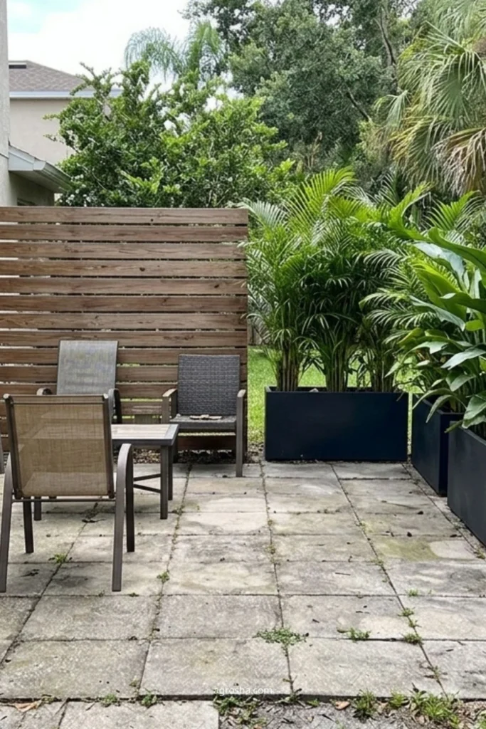 Garden Screening Ideas for Privacy Without Closing In the Yard