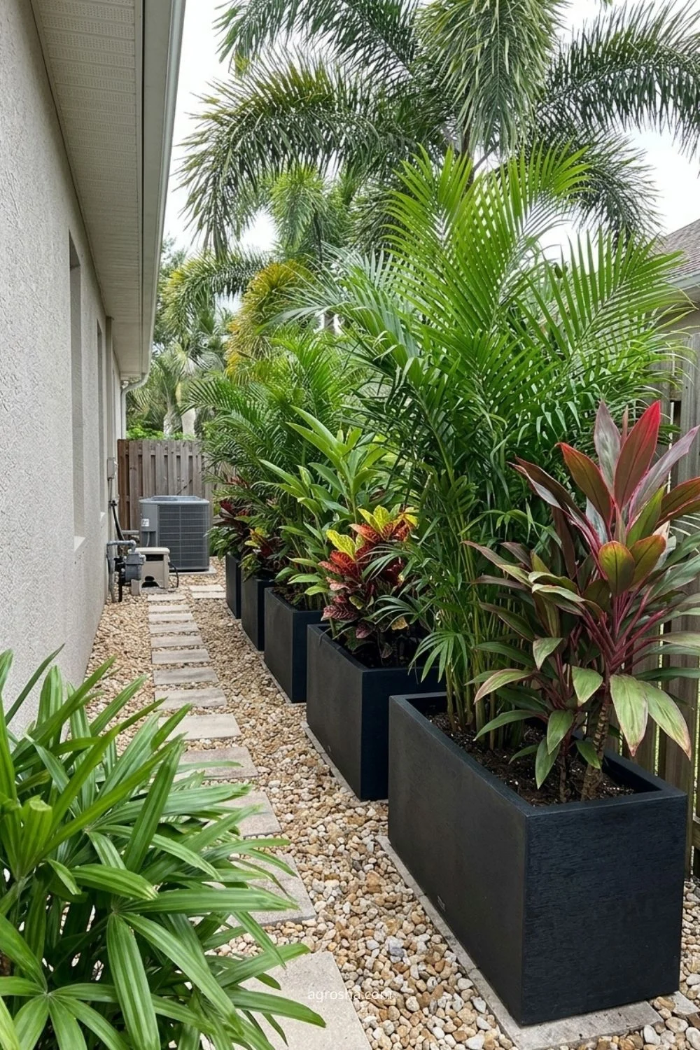 Florida privacy screen example showing large planters with upright plants