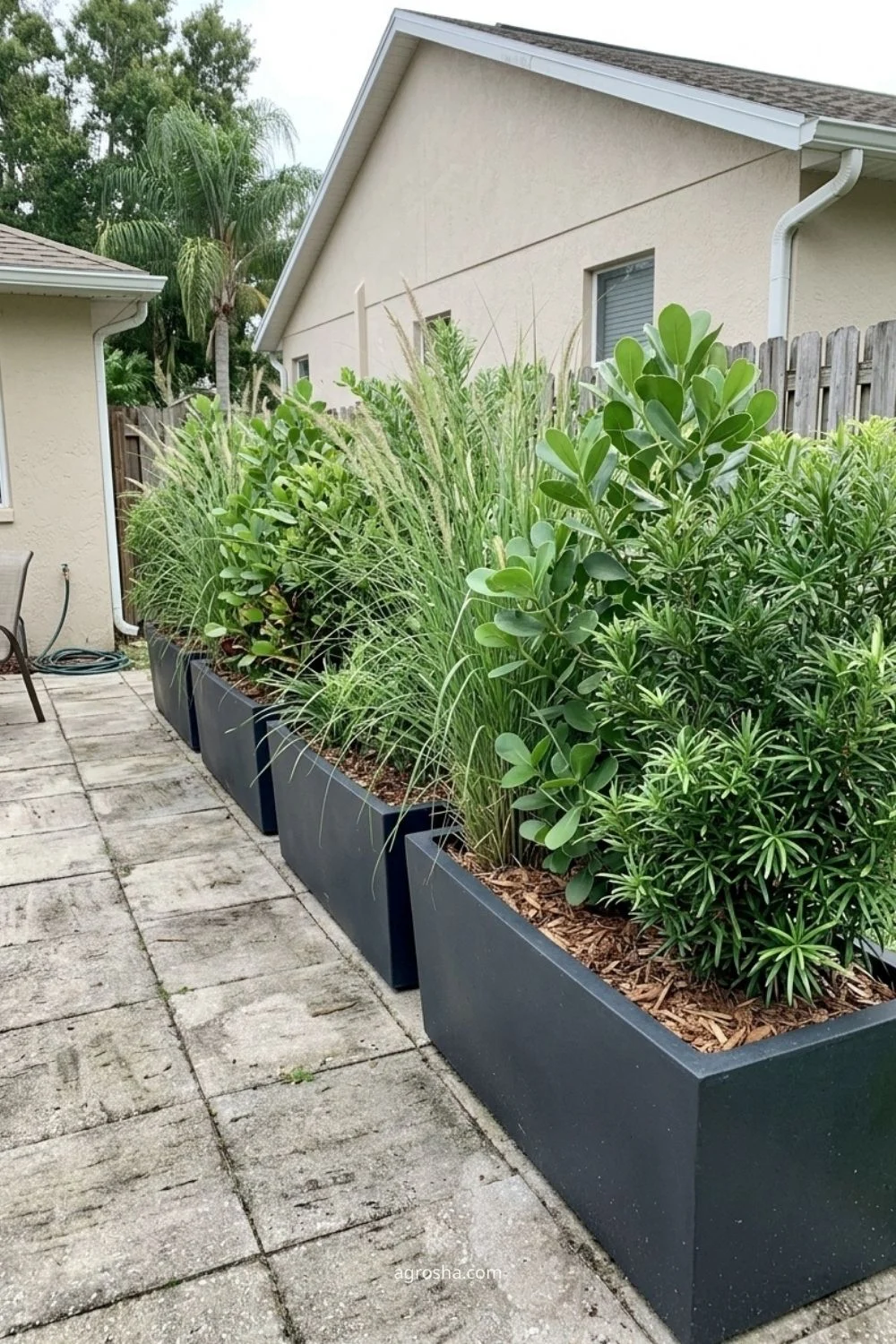 Florida privacy screen example showing mixed shrub-and-grass screen