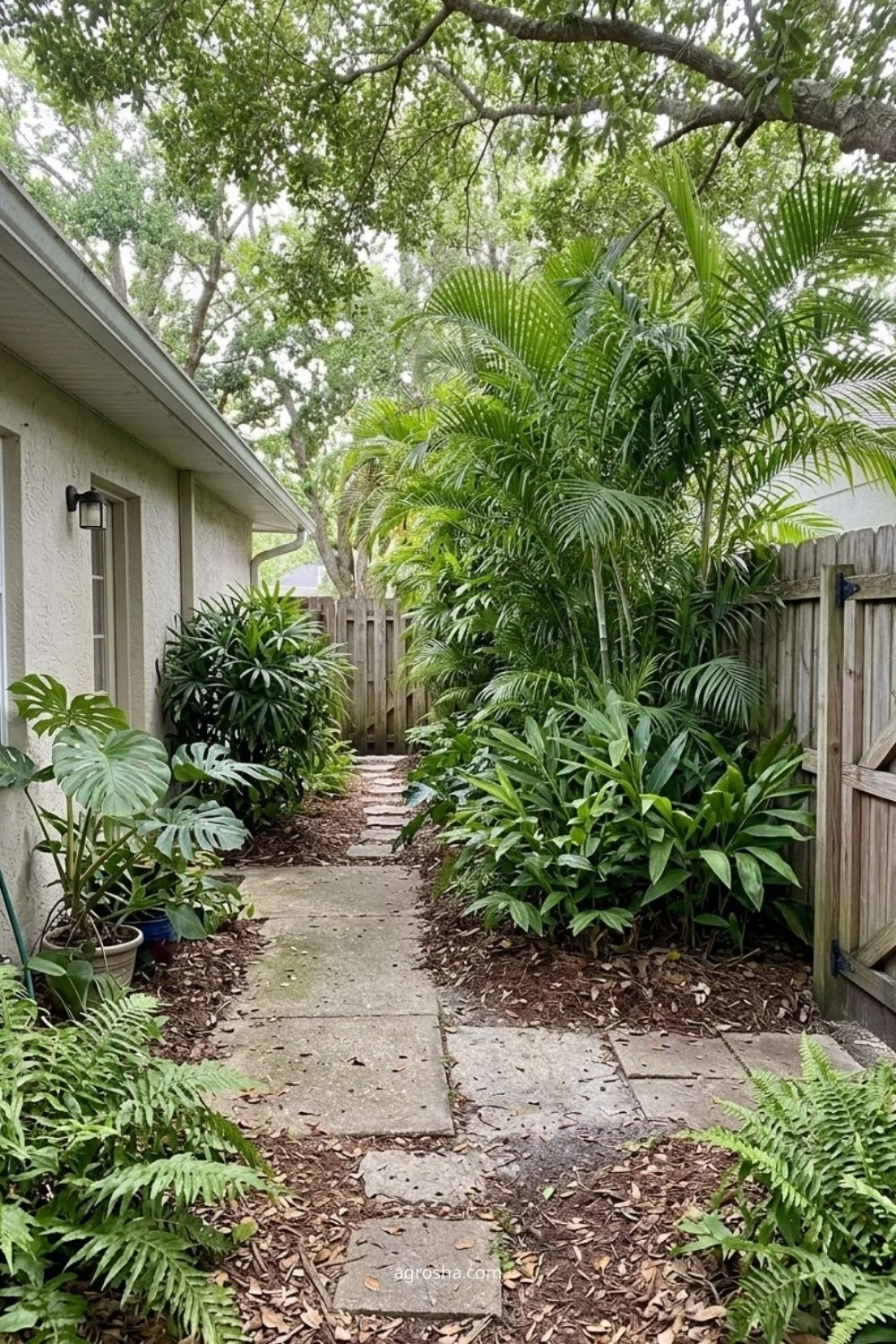 Florida privacy screen example showing shaded privacy planting