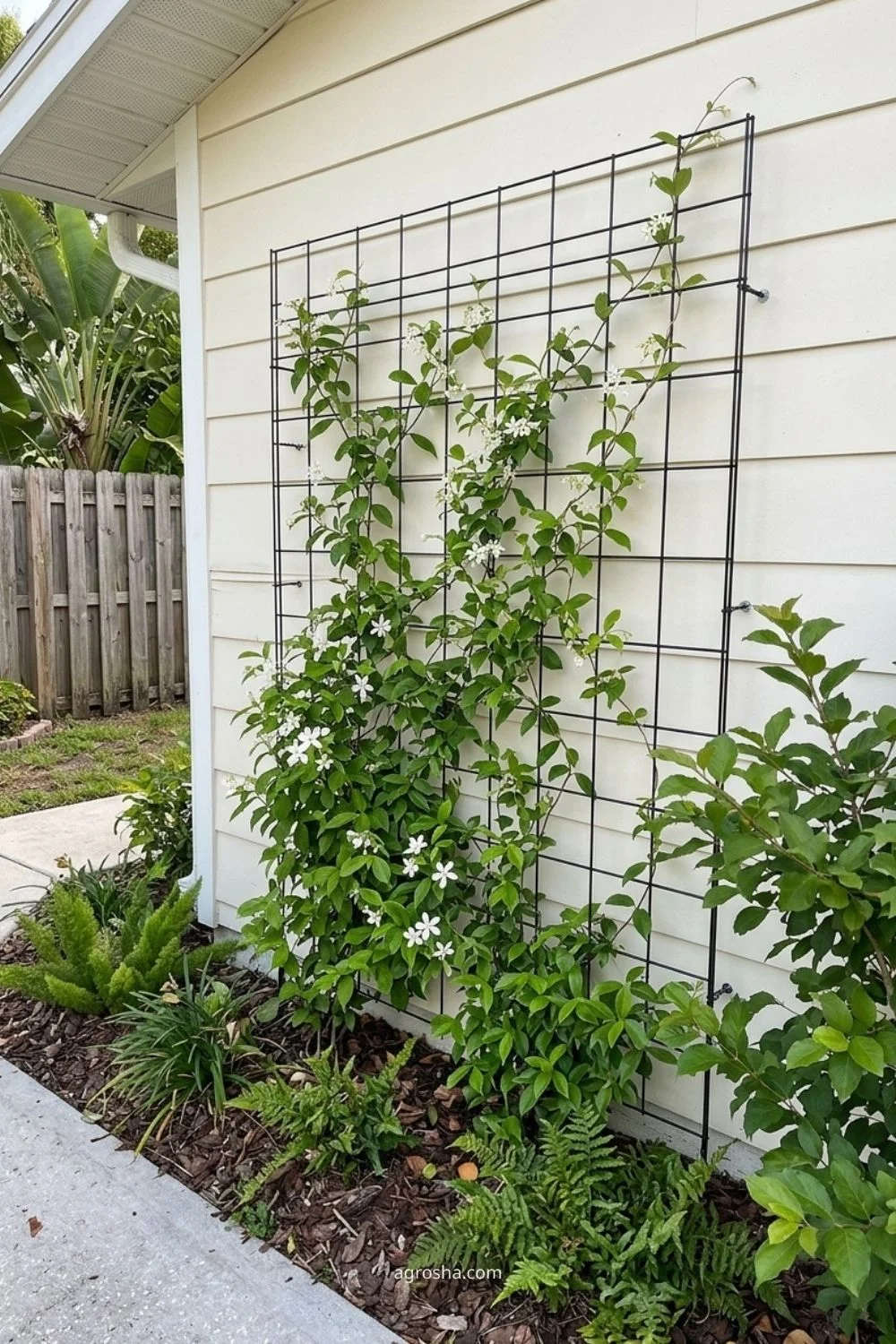 Florida garden trellis example showing lightweight wire grid for delicate climbers