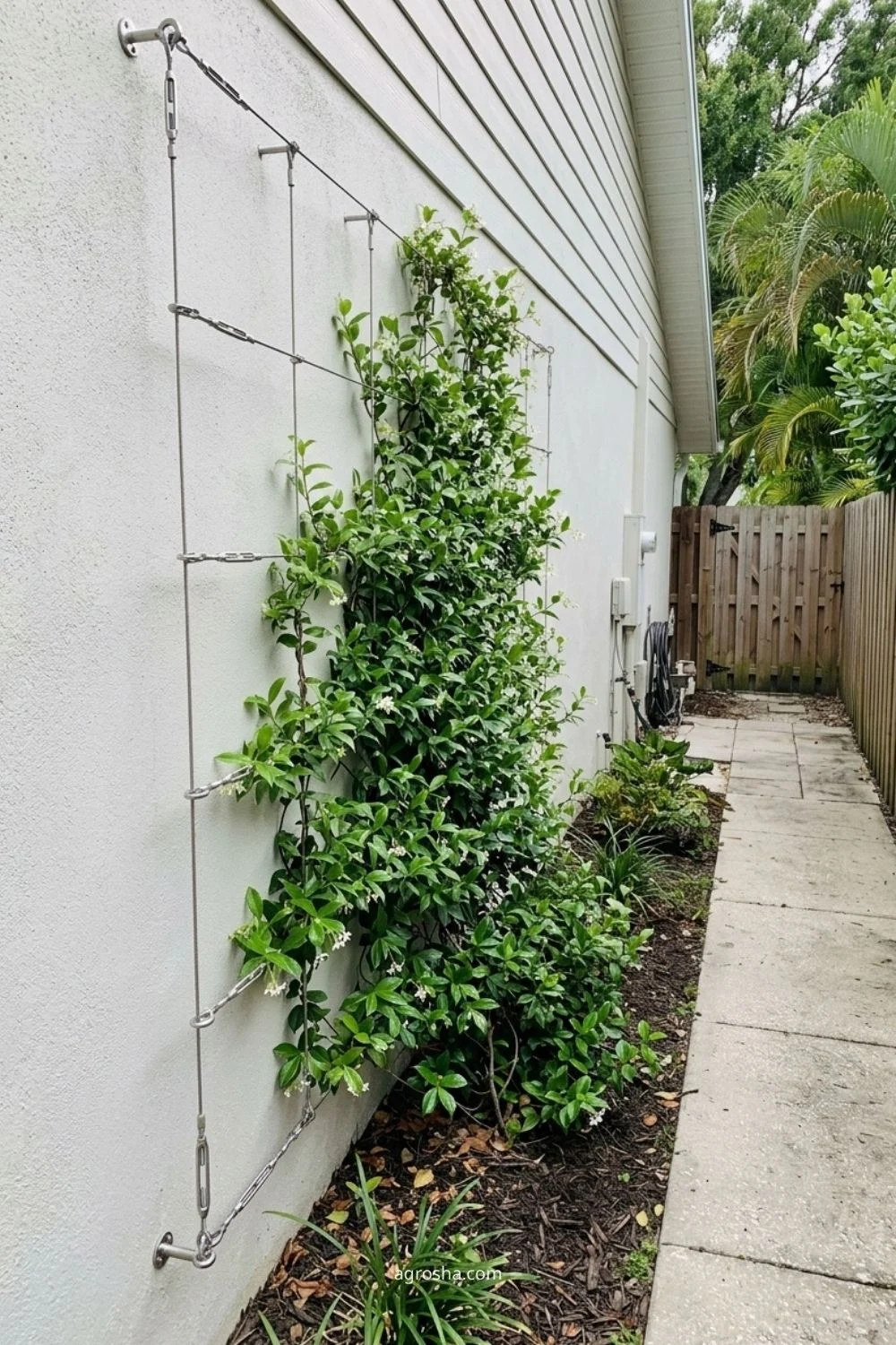 Florida garden trellis example showing cable trellis for a clean modern wall