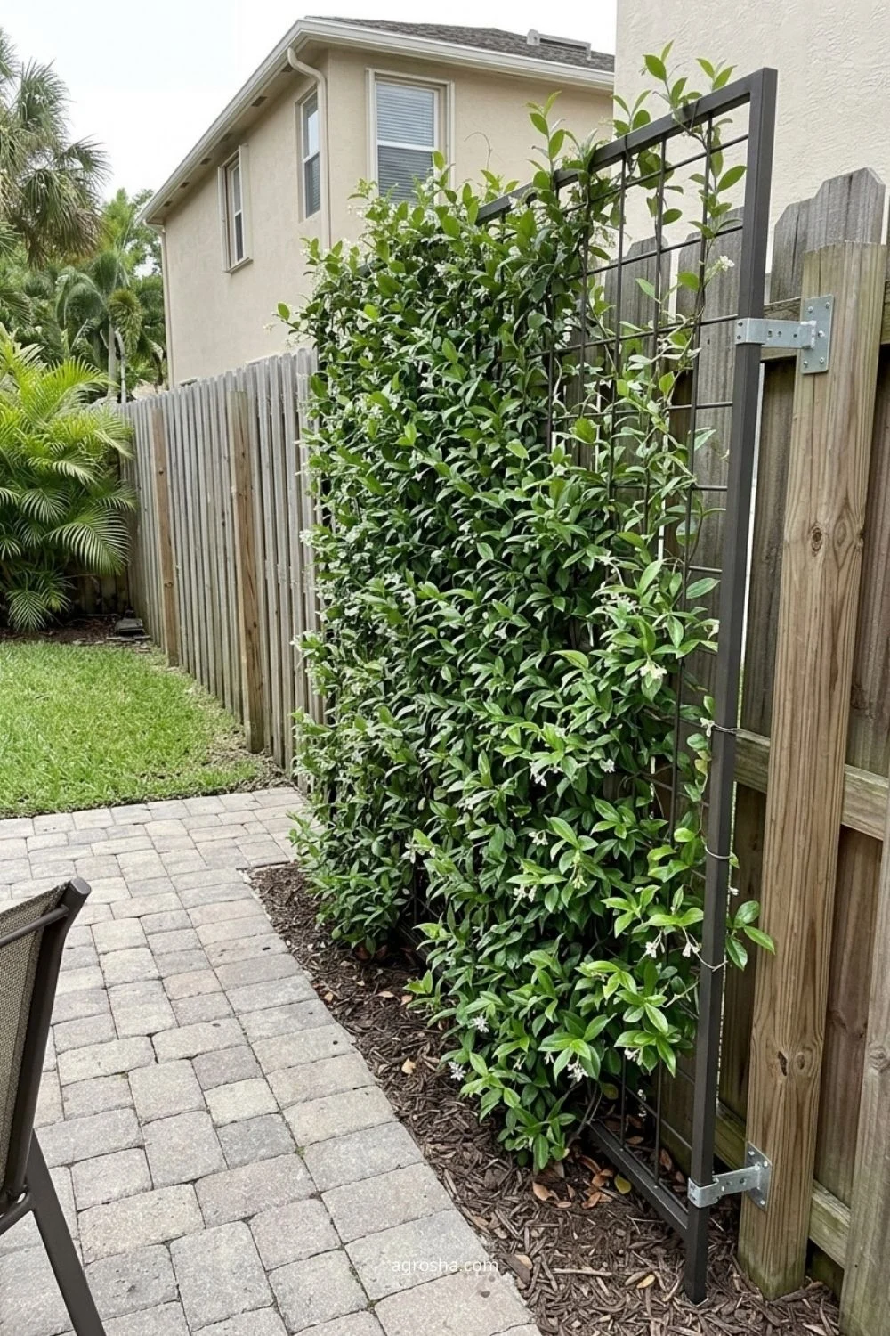 Florida garden trellis example showing narrow trellis between patio and neighbor view