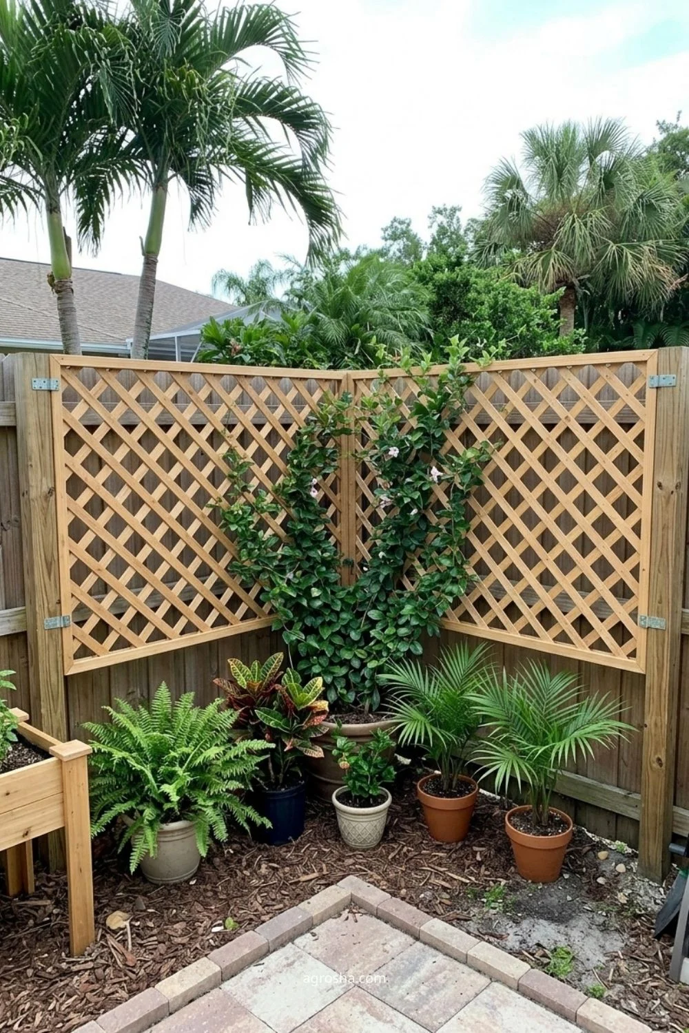 Florida garden trellis example showing corner trellis for two fence lines