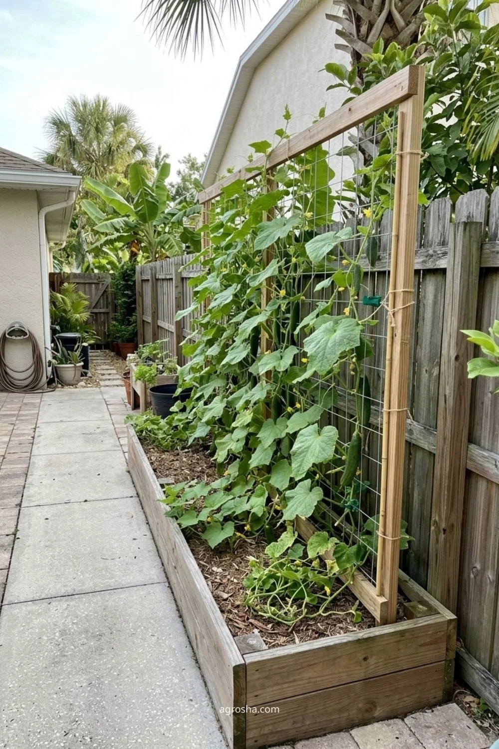 Florida garden trellis example showing cucumber panel in a raised bed