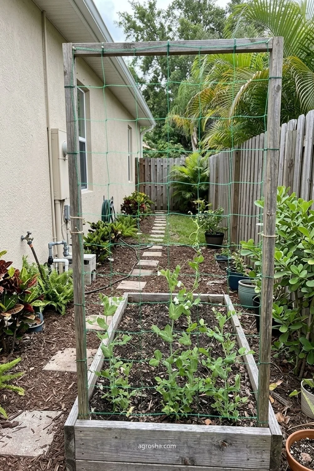 Florida garden trellis example showing pea netting on a simple frame