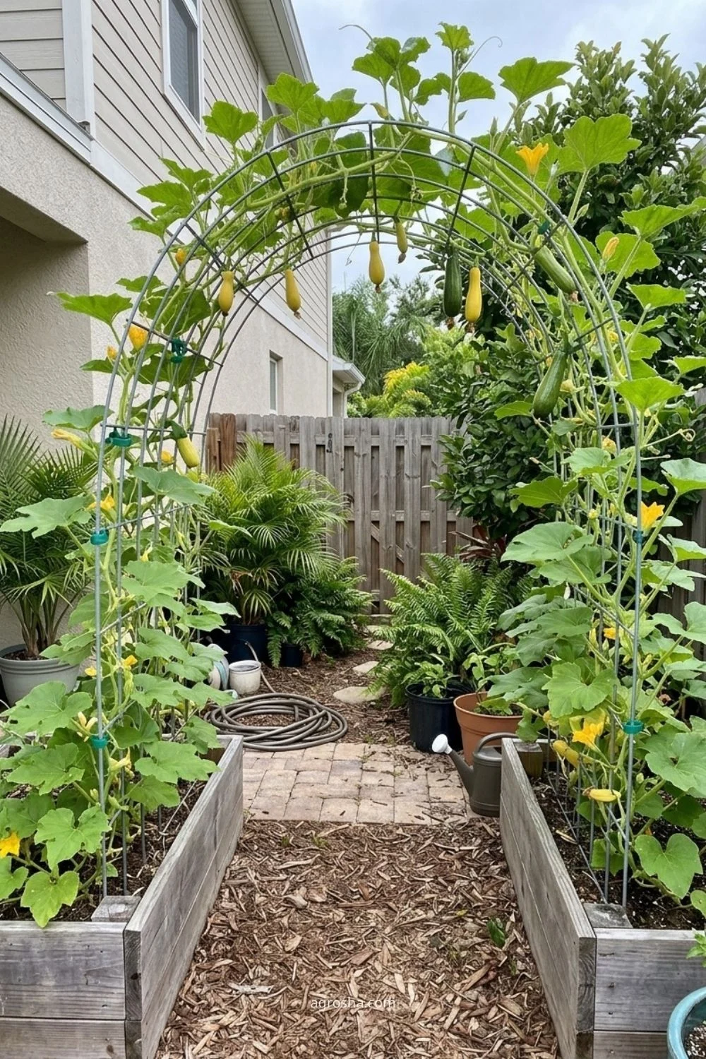 Florida garden trellis example showing squash arch for smaller vining types