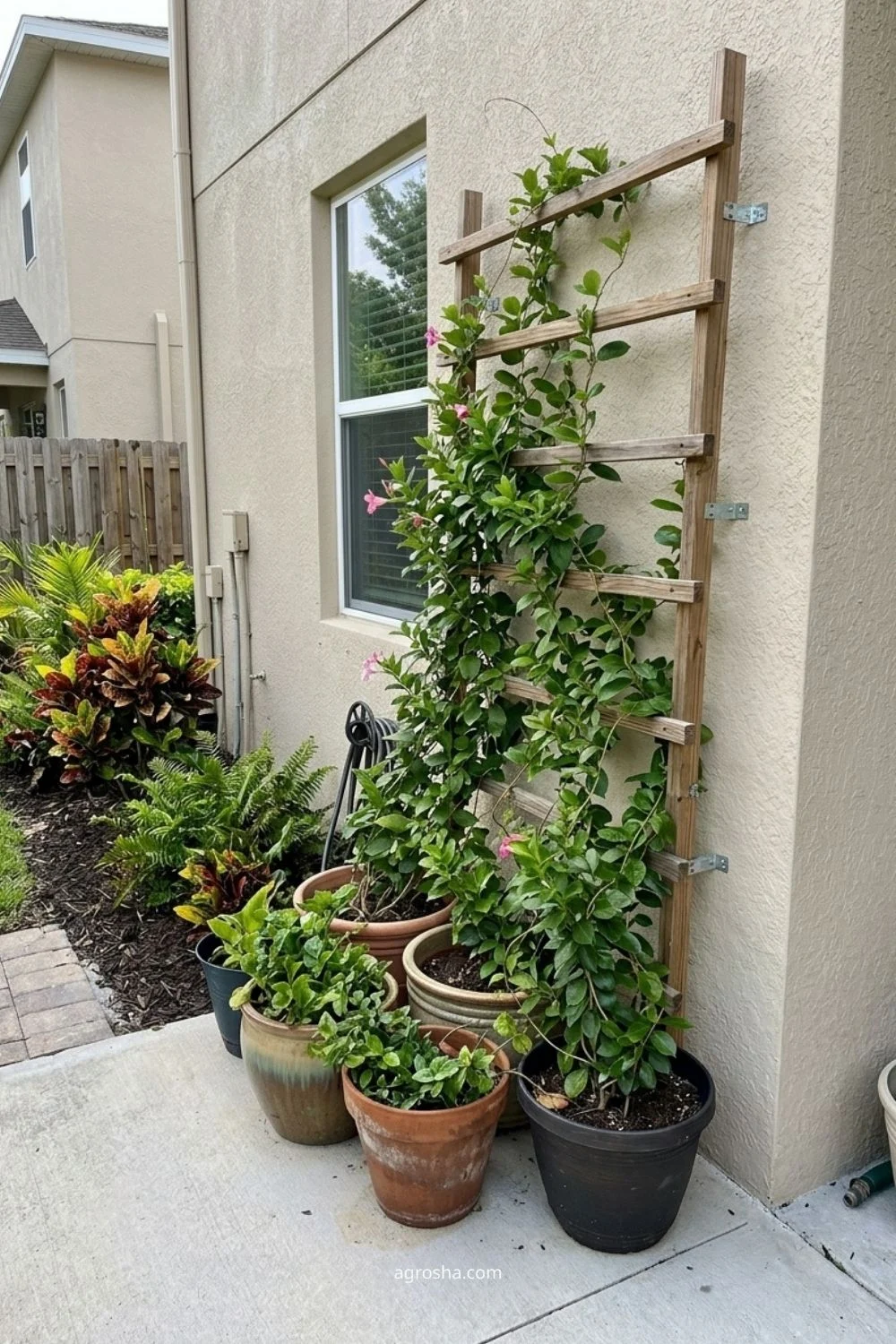 Florida garden trellis example showing ladder trellis behind patio pots
