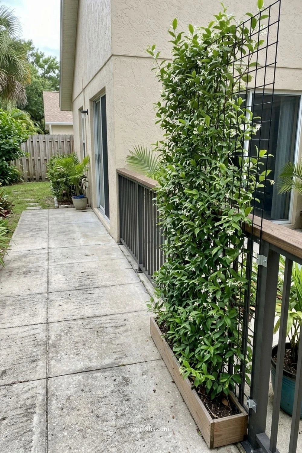 Florida garden trellis example showing railing-side trellis without blocking the walk
