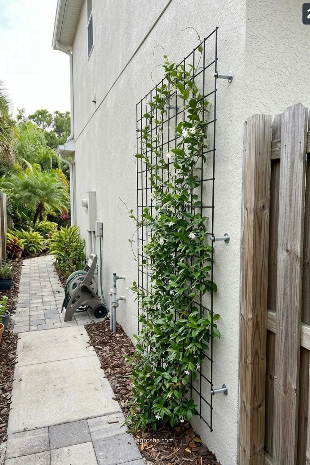 Florida garden trellis example showing wall trellis for a side yard