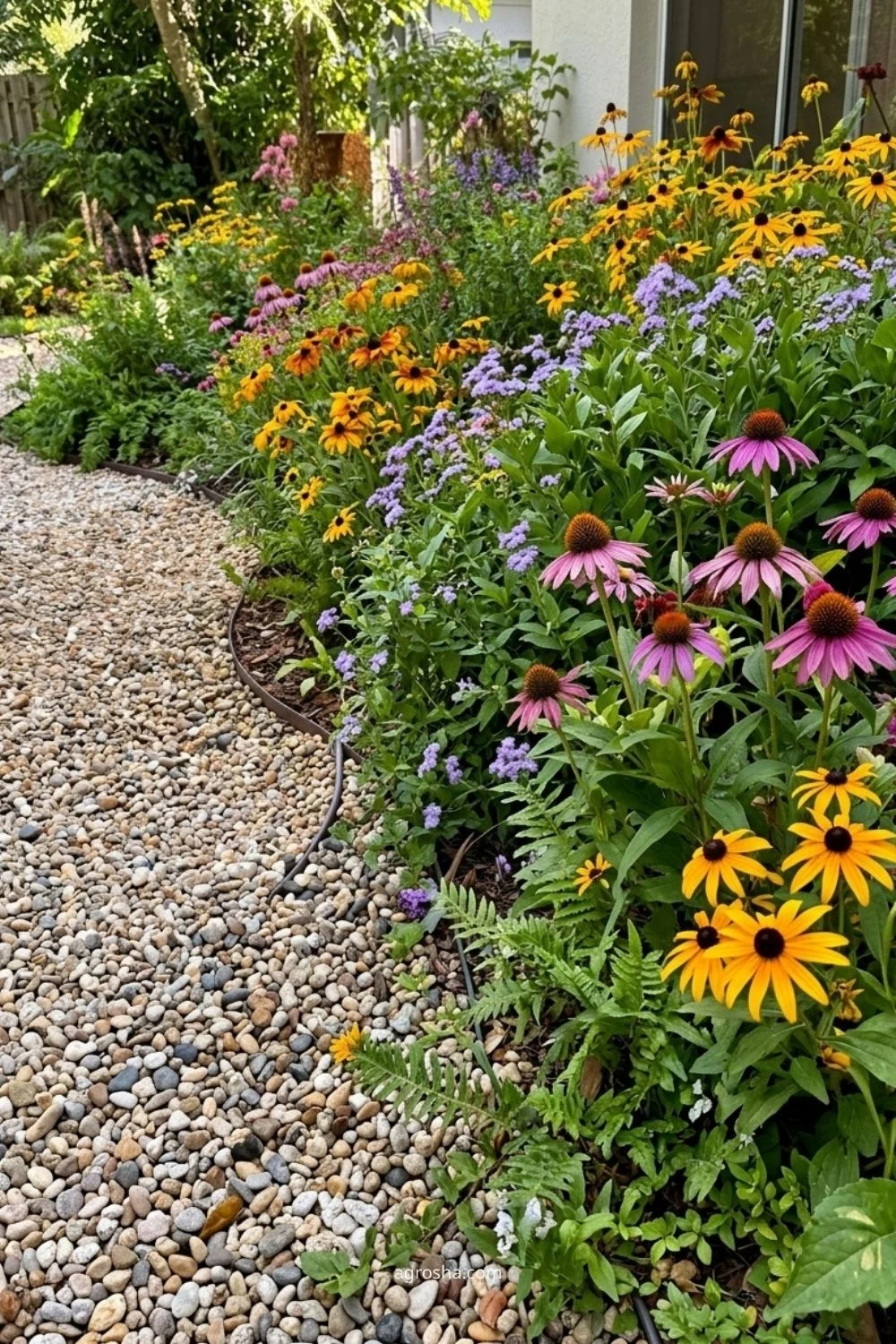 Florida gravel path showing gravel path with low planting at the edge