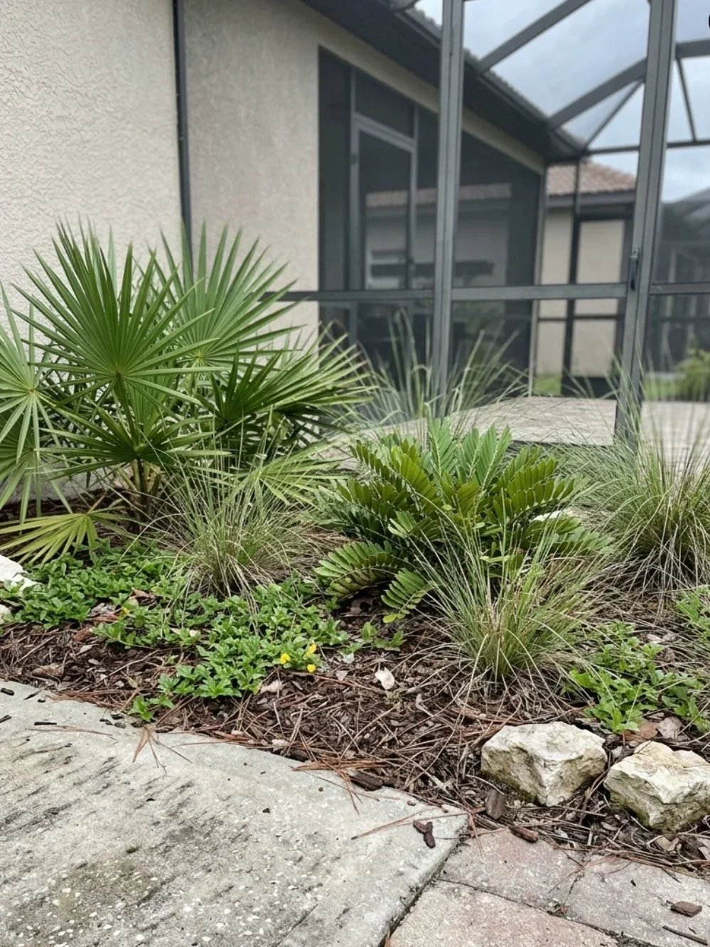 Palm-like foliage, cycads and clumping grasses in a mulched narrow garden bed beside paving