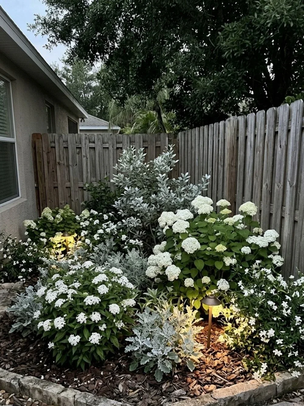 White flowering shrubs and silver-green foliage illuminated by a low garden path light