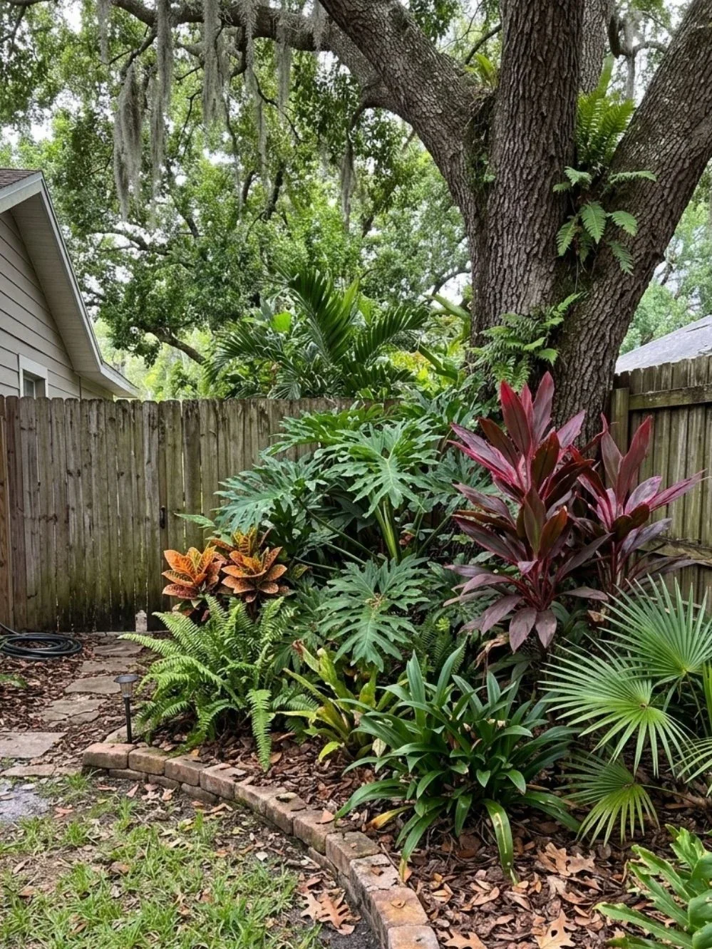 Subtropical garden corner beneath a large tree with red cordyline, ferns and split-leaf plants