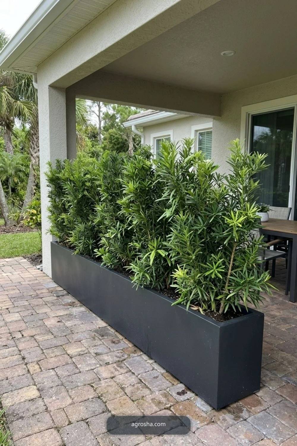 Florida outdoor planter example showing matching planters on a wide entry