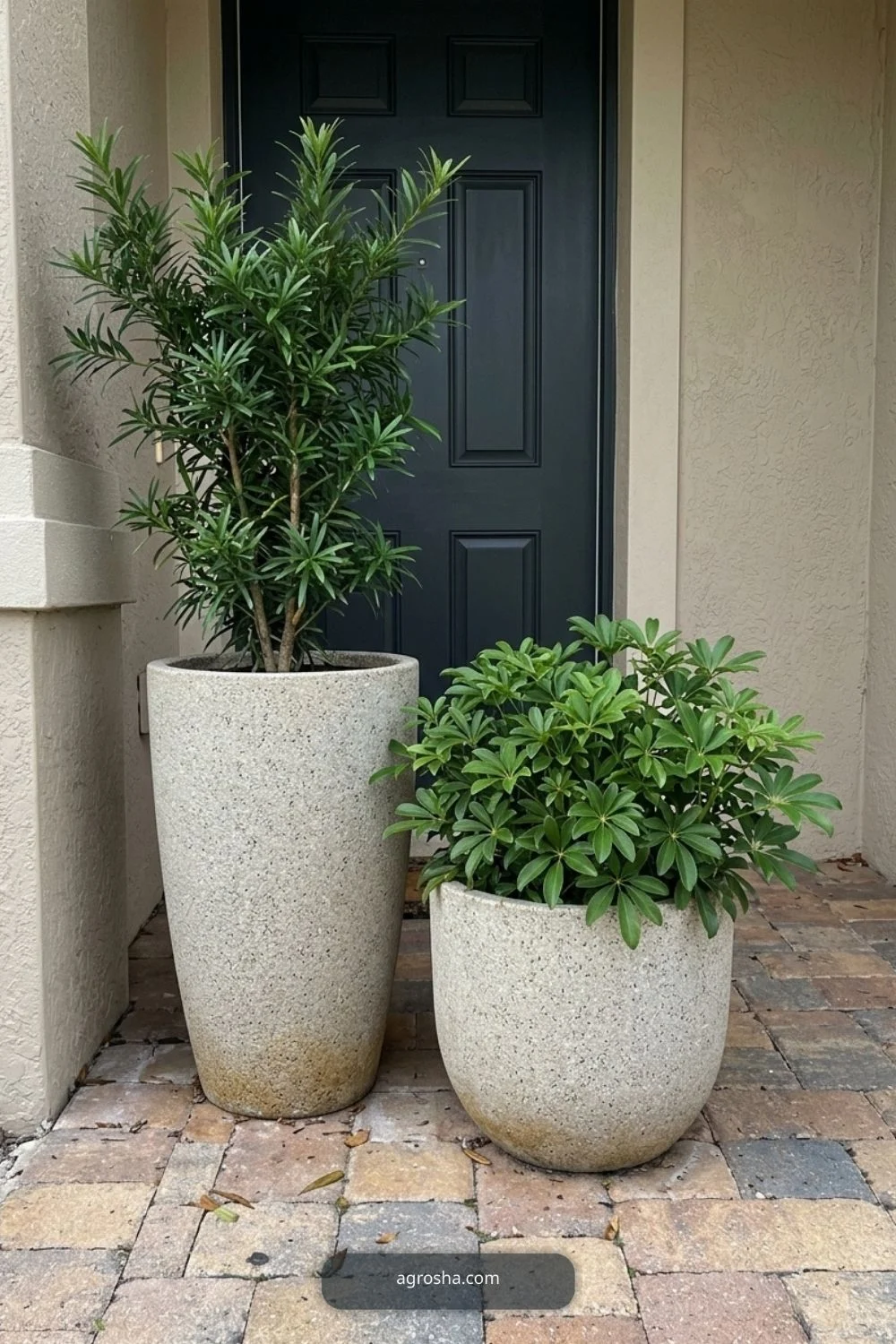 Florida outdoor planter example showing asymmetrical pair for a smaller porch
