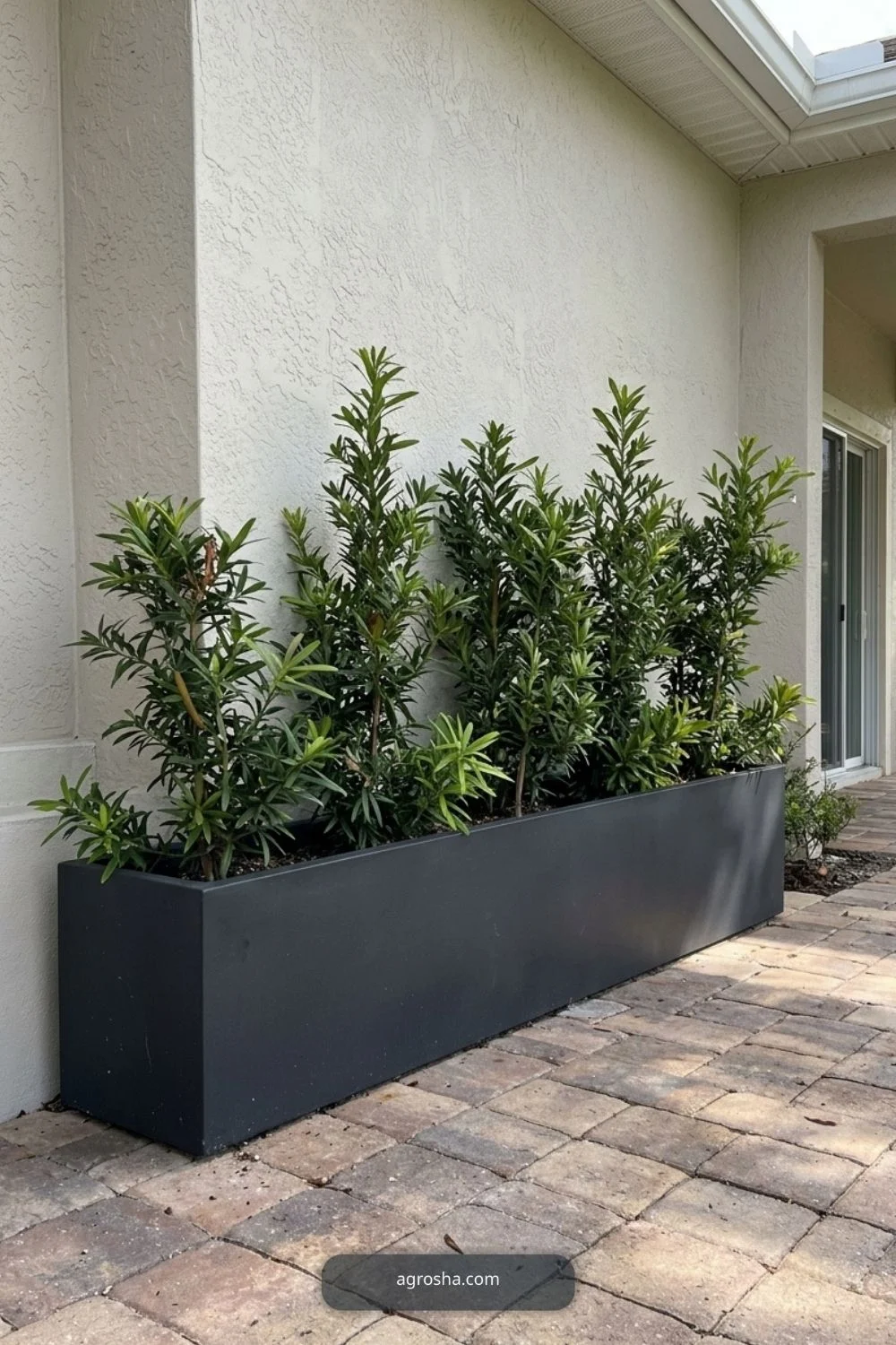 Florida outdoor planter example showing long rectangular planter along a wall