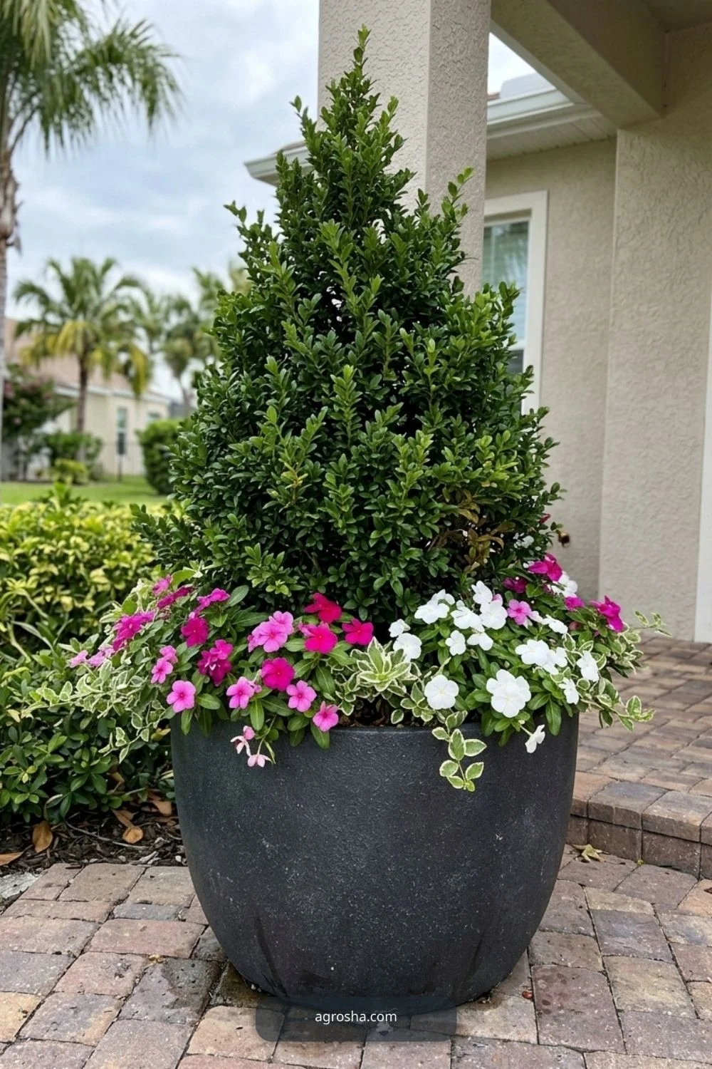 Florida outdoor planter example showing evergreen structure with seasonal color