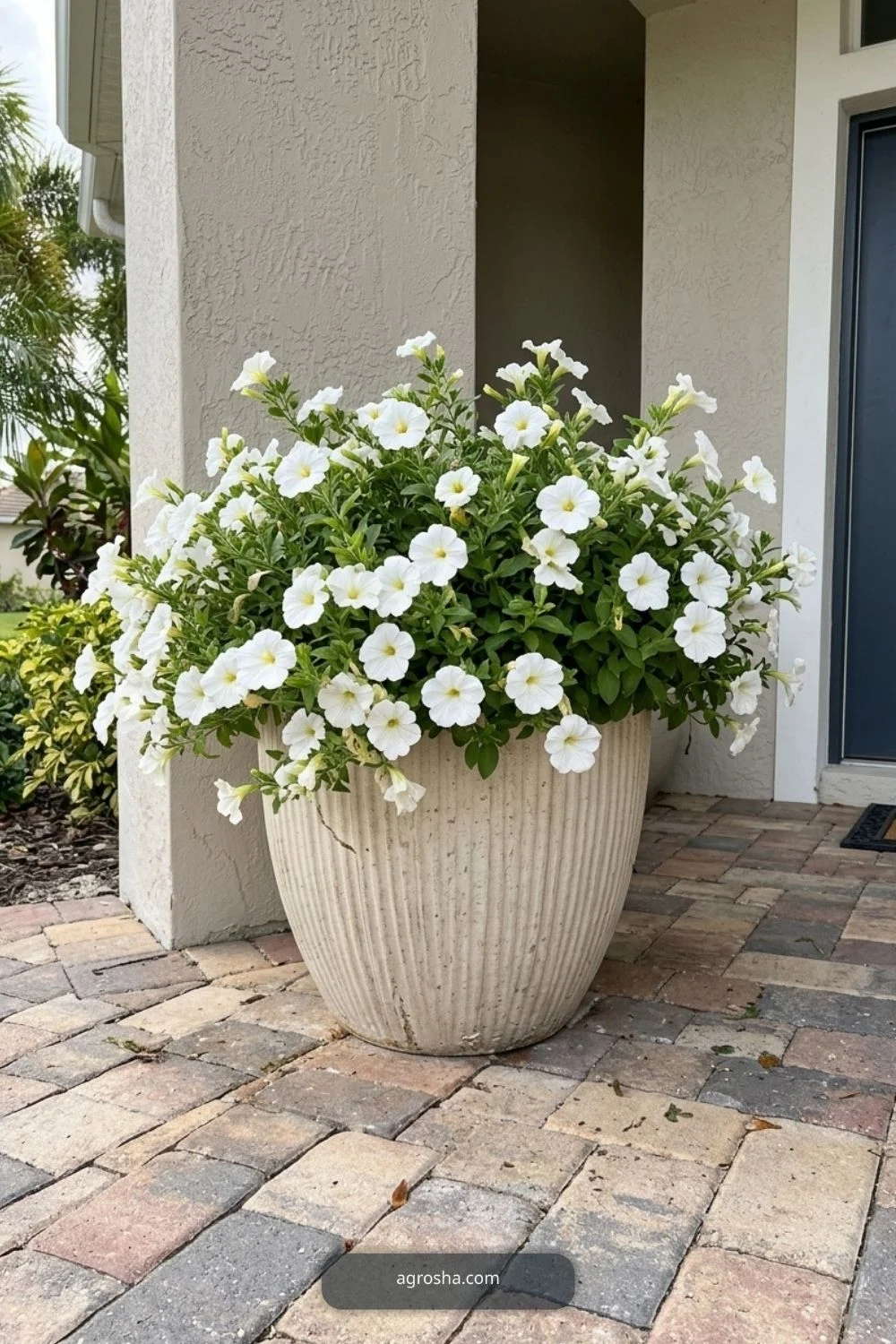 Florida outdoor planter example showing monochromatic flower planter