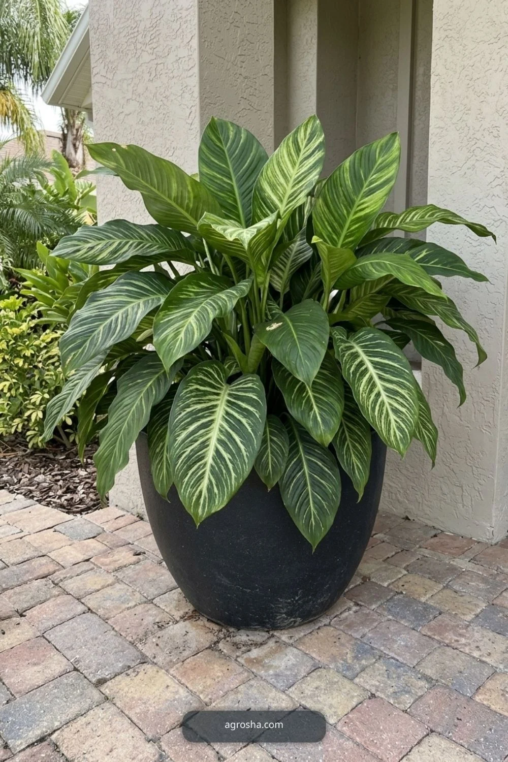 Florida outdoor planter example showing lightweight fiberglass-style planter
