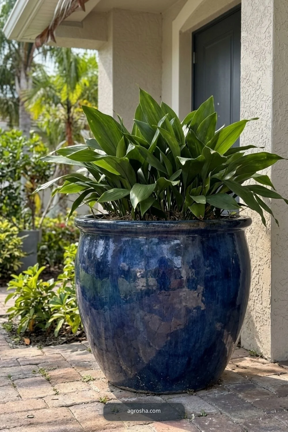 Florida outdoor planter example showing glazed ceramic planter in a sheltered spot