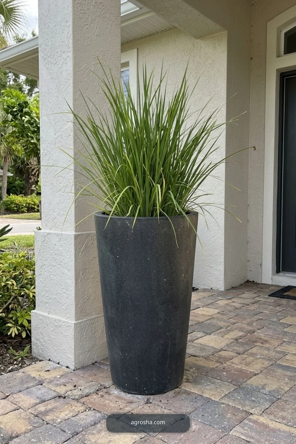 Florida outdoor planter example showing tall planter with compact upright grass