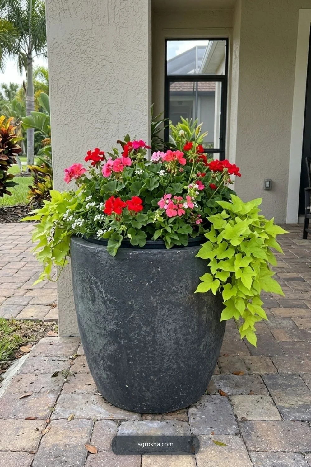 Florida outdoor planter example showing seasonal color insert inside a permanent planter