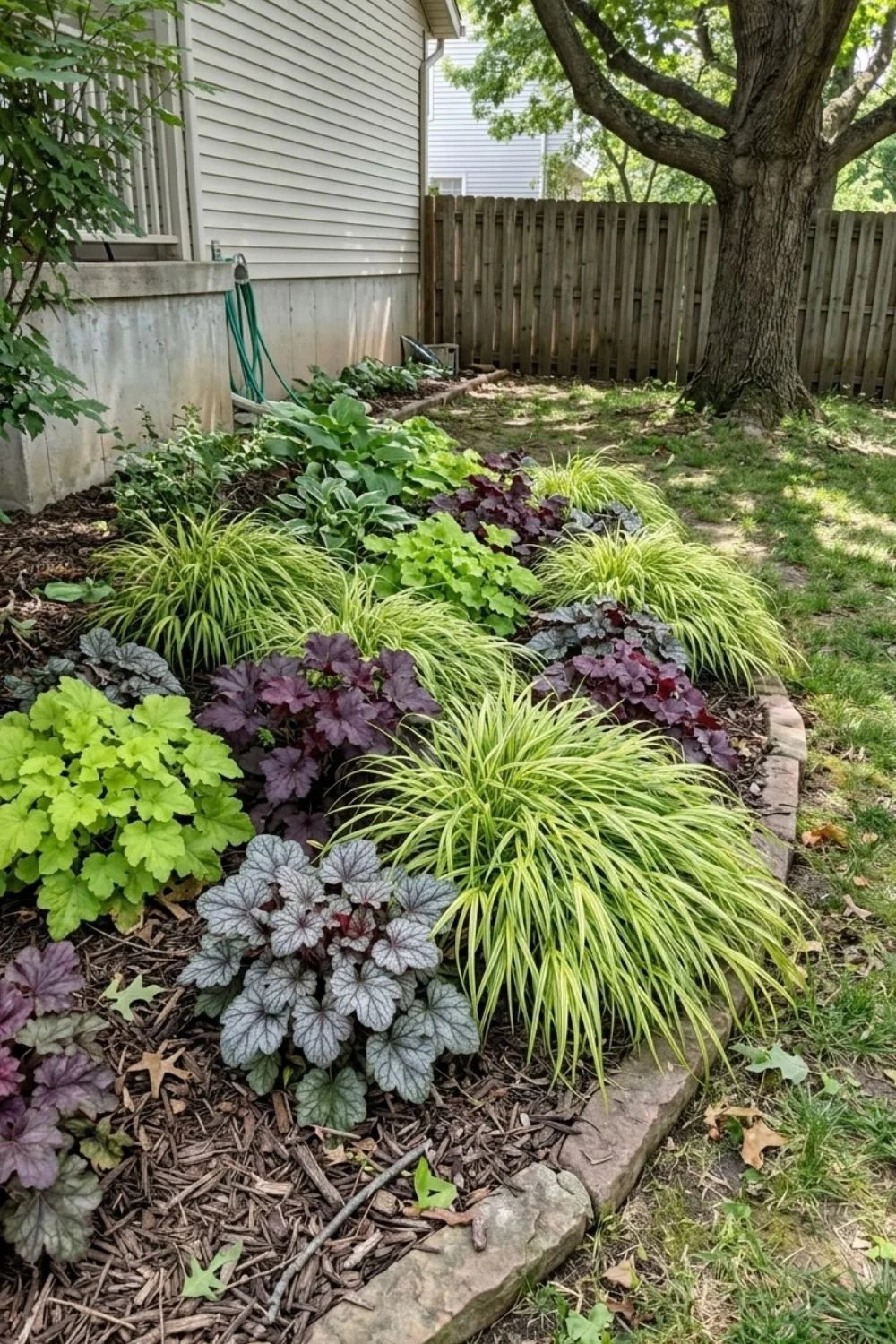 Bright Foliage With Heuchera in a shaded suburban backyard garden