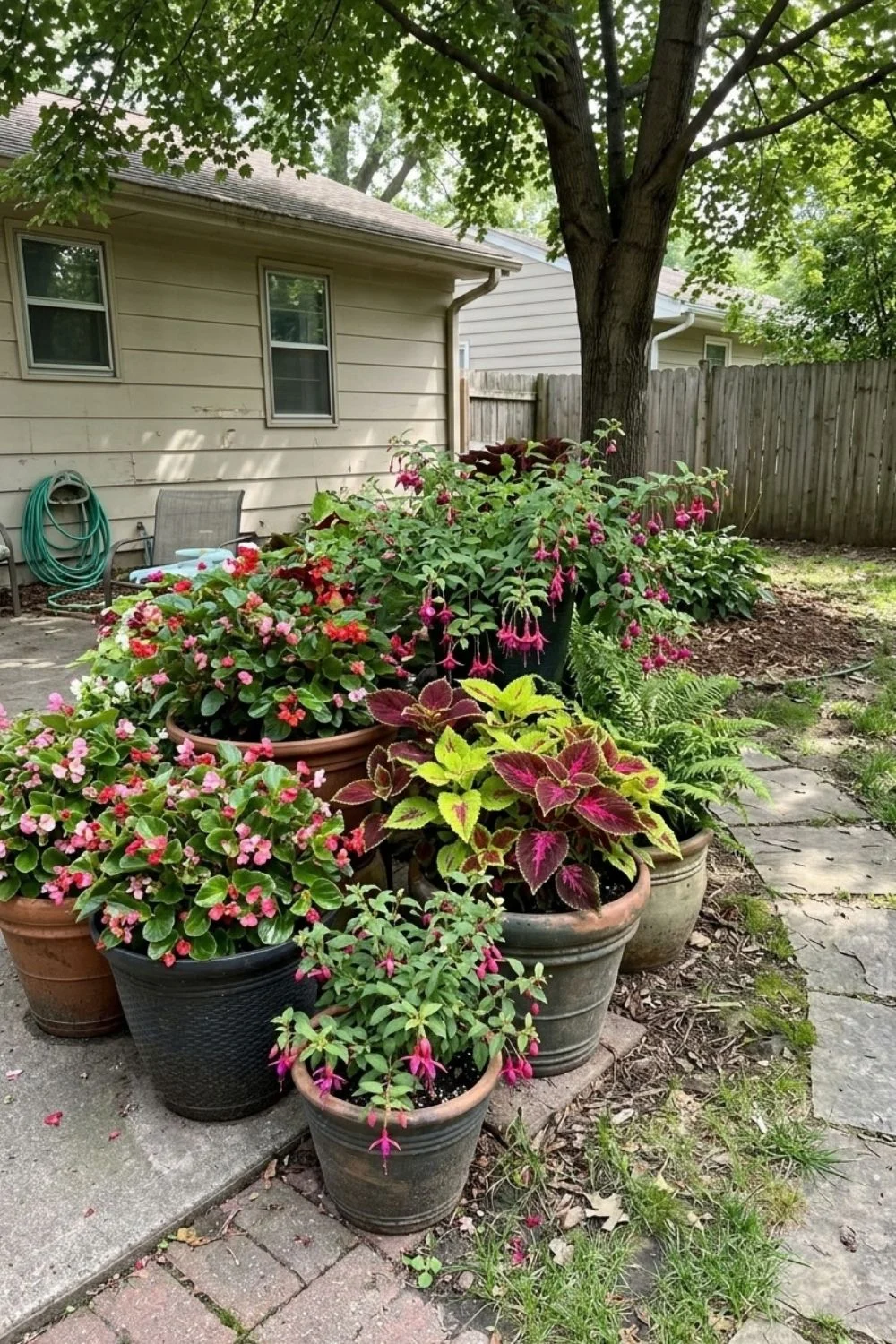 Shaded Container Garden in a shaded suburban backyard garden